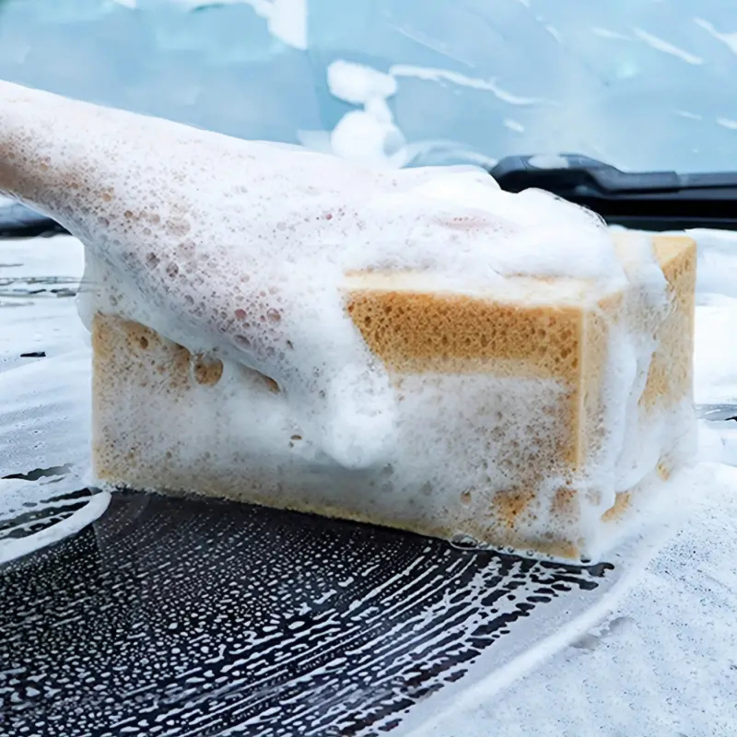 ProCar® Mercan Oto Yıkama Sünger
